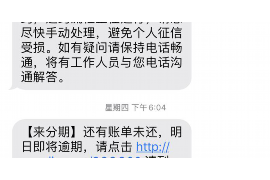 兴国为什么选择专业追讨公司来处理您的债务纠纷？